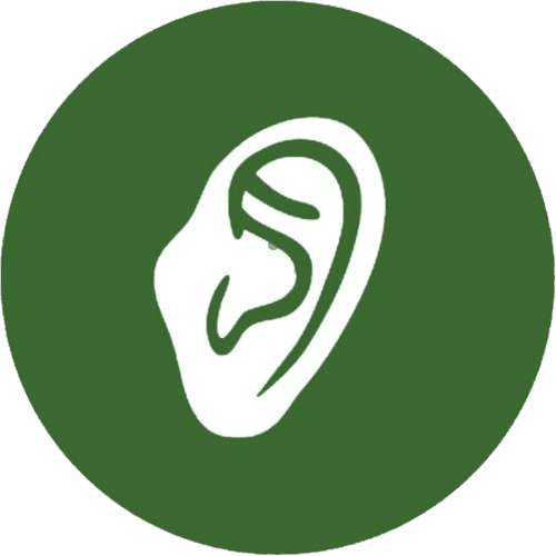 ear icon